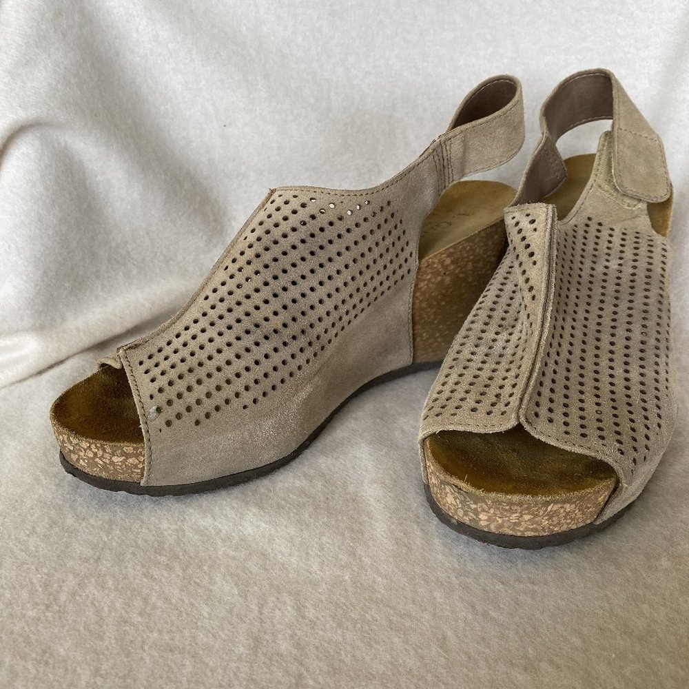 A. Giannetti wedge